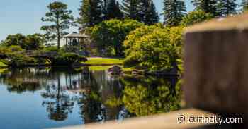 10 of the best things to do in Calgary this week (May 16-20) - Curiocity