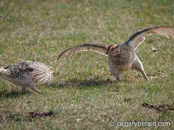 On the Road: Two dawns - Calgary Herald