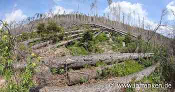 Waldbesitzer fordern Hilfe für Waldumbau