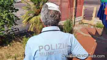 Messina: aggredito agente della Polizia Municipale - StrettoWeb