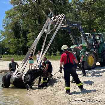 Eingesunken: Feuerwehr rettet Pferd in Goch aus Spülsand - Radio K.W.
