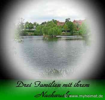 Auf dem Wittenberger Schwanenteich ! - Lutherstadt Wittenberg - myheimat.de - myheimat.de