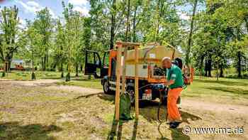 Uniparkfest Wittenberg 2022: Frühlingsfest legt Fokus auf die Natur - Mitteldeutsche Zeitung