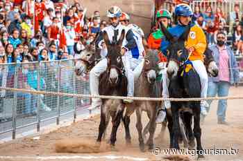 Il Palio dei Somari di Siena quest'anno si ispira alla pace - TGTourism