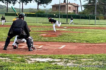 Siena Baseball in trasferta nel Lazio per affrontare la capolista Anzio - RadioSienaTv