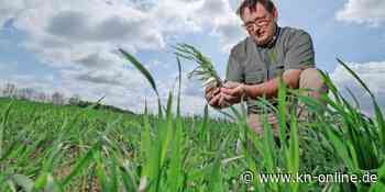 Lange Trockenphase in Schleswig-Holstein besorgt die Landwirte