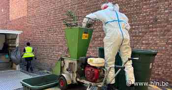 Cannabisplantage ontdekt in Drabstraat | Mortsel | hln.be - Het Laatste Nieuws