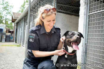 Saanich transfers animal control services to Capital Regional District – Saanich News - Saanich News