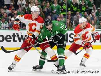 Flames' Zadorov avoids suspension for hit on Stars' Glendening - Sarnia and Lambton County This Week