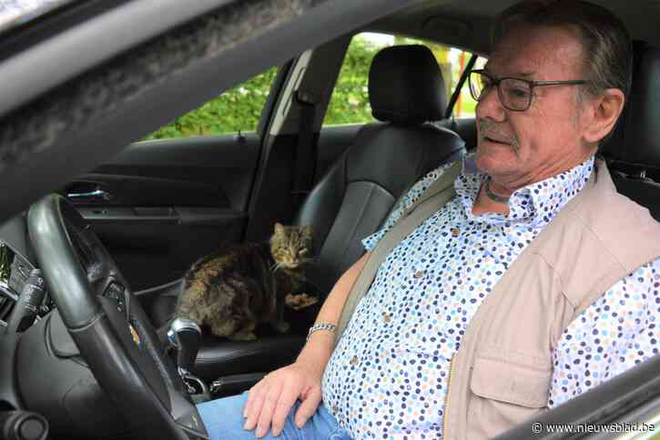 Klokvaste kat wacht al 8,5 jaar ’s morgens op Ludo, wipt in zijn auto en smikkelt dan op passagiersstoel bakje leeg