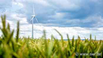 Klimaprojekt - Mannheim und Heidelberg verstärken Zusammenarbeit - SWR Aktuell