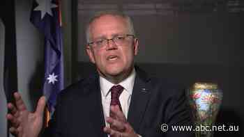 Morrison 'not contemplating' quitting if he loses election, claims he can defy polls again