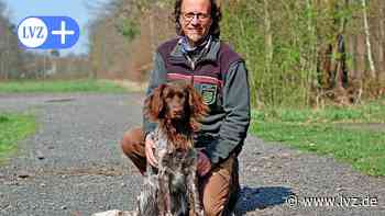 Bäume leiden unter Wassermangel: Waldumbau in Naunhofer Forst und Planitzwald geht weiter - Leipziger Volkszeitung