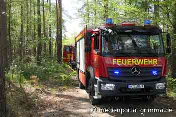 Brand im Colditzer Forst - Medienportal-Grimma