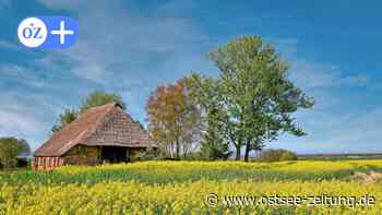 OZ-Kolumne aus Stralsund: Herkunft raten - Spiel kennt nur Gewinner - Ostsee Zeitung