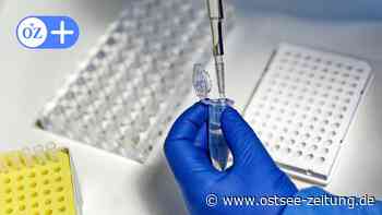 Stralsund: Korallen-Apotheke bietet PCR-Tests in Knieper West an - Ostsee Zeitung