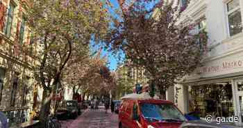 Kirschblüte Bonn, 25. April 2022: Wie lange blühen die Bäume noch? - General-Anzeiger Bonn