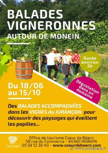 Balade vigneronne : Domaine Montesquiou Monein samedi 18 juin 2022 - Unidivers