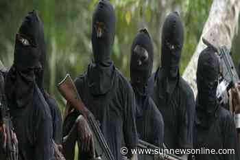 Gunmen shoot PDP member dead in Delta - Daily Sun