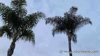 Warm and Muggy Monday in South Florida Ahead of Afternoon Storms