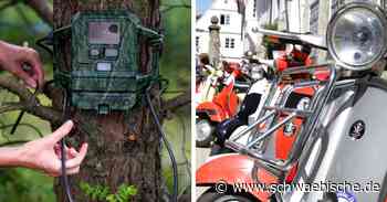 Lindau: Ein unbekannter Rollerpinkler ist jetzt enttarnt - Schwäbische