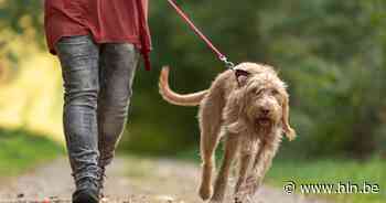 N-VA organiseert huisdierenbeurs Happy Hond | Hemiksem | hln.be - Het Laatste Nieuws