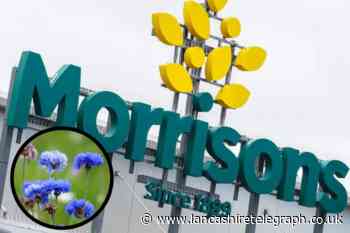 Morrisons is giving away nearly 3 million of Queen’s favourite flowers for the Jubilee
