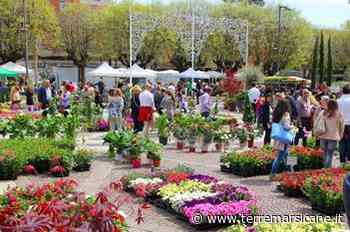 Salotto Verde A Piazza Risorgimento Ad Avezzano, Fiori, Piante E Colori Di Primavera Dal 5 Al 15 Maggio » Terre Marsicane - Terre Marsicane