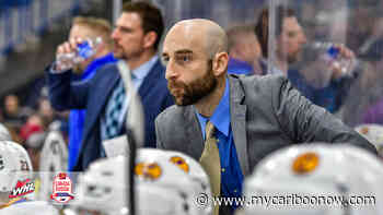 Quesnel's Mitch Love says AHL coach of the year honour is a team award - mycariboonow.com