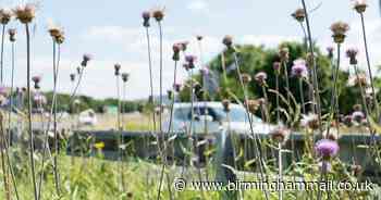 Wetlands to be created to stop M5 pollution entering rivers as part of £6m project - Birmingham Live