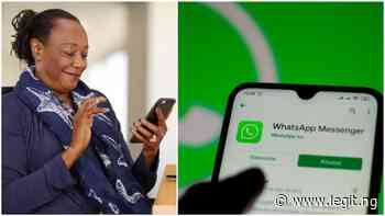 Zuckerberg adds new features on WhatsApp, increases users in a group to 512 - Legit.ng