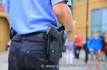 Straftaten in Steinheim: Jung und doch schon polizeibekannt - Stuttgarter Nachrichten