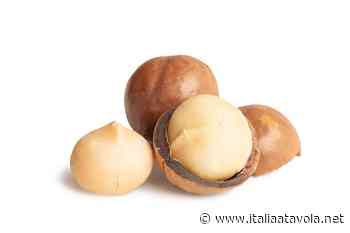 Conosci le proprietà delle noci di macadamia? - Italia a Tavola