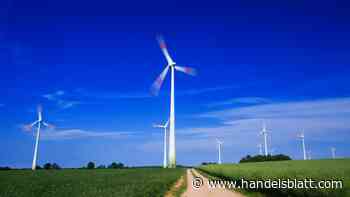 Votum: Windenergieförderung: Gesetzliche Gewinnbeteiligung