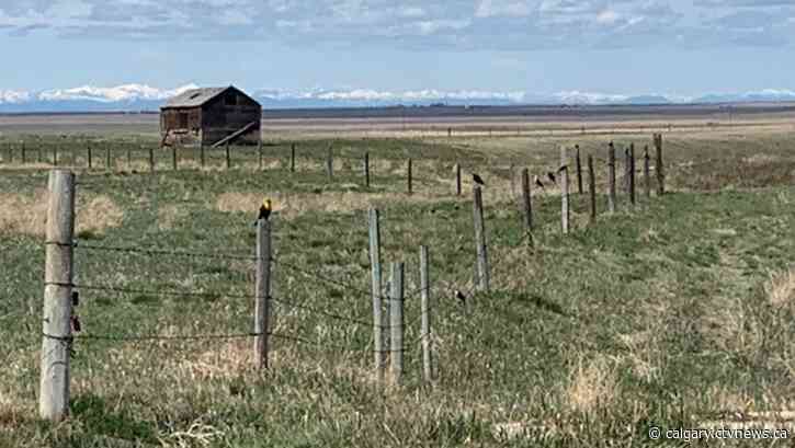 Cool and rainy weather ahead for Calgary after a very warm Monday