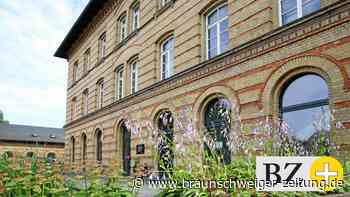 Rauf auf den Drahtesel – das Stadtradeln in Peine startet - Braunschweiger Zeitung