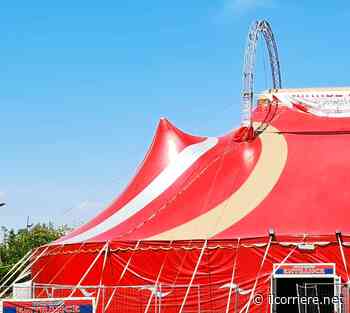 Giovani e volontari si incontrano al “Salone del volontariato” ad Alba - Il Corriere di Alba, Bra, Langhe e Roero