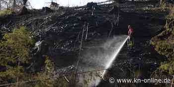 Waldbrandgefahr steigt mit der Trockenheit: „Es könnten extreme Situationen auf uns zukommen“