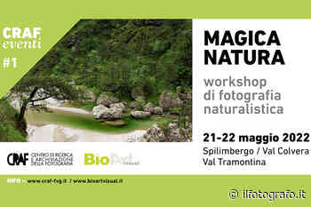 Workshop di fotografia naturalistica promosso dal CRAF di Spilimbergo - Il Fotografo