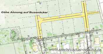 Neubaugebiet Busenäcker und schnelles Internet Thema im Rat Reifenberg - Saarbrücker Zeitung