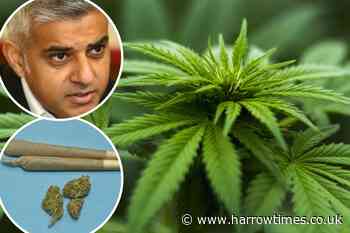 Mayor appoints drug tsar to examine legalising cannabis