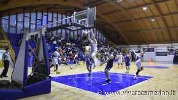 La Vigor Basket Matelica vola alle semifinali playoff - Vivere Camerino