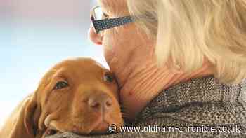 Dementia awareness week: how therapy dogs can help those with dementia - Oldham Chronicle
