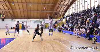 Serie C Gold, il Bramante Pesaro passeggia sul campo della Vigor Matelica - Picchio News