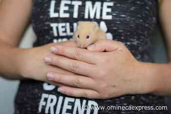 BC SPCA holding special adoption event for some unusual potential pets – Vanderhoof Omineca Express - Omineca Express