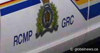 Sherwood Park man killed in collision near Camrose - Edmonton | Globalnews.ca - Global News
