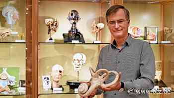 Historische Präparate der Jenaer Anatomie besichtigen