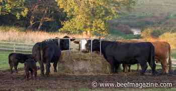 Hay stocks tighter in 2022