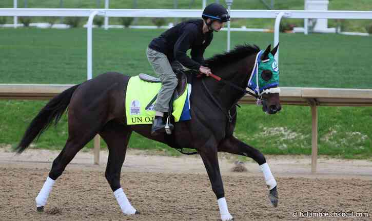 One-Eyed Un Ojo Out For Preakness, Maryland Jockey Club Says