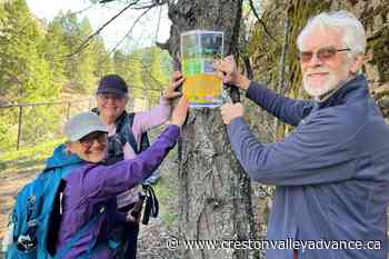 'Hike Our Story' in epic Kootenay Boundary challenge – Creston Valley Advance - Creston Valley Advance